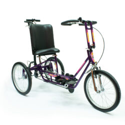 Tricycle By Freedom Concepts
